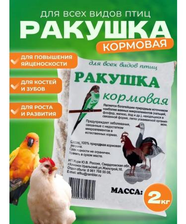 Perrico Shell -shell stern shell marine