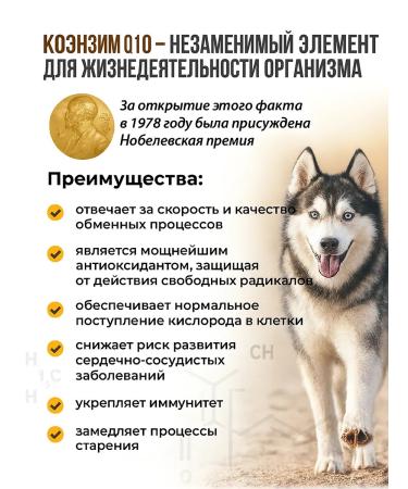 Vitamins for dogs liquid unitabs total 50 ml - Buy Online on GoSupps.com