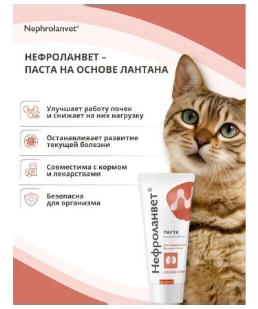 NEFROLANVET Paste for kids of cats and dogs 75 g - Buy Online on GoSupps.com