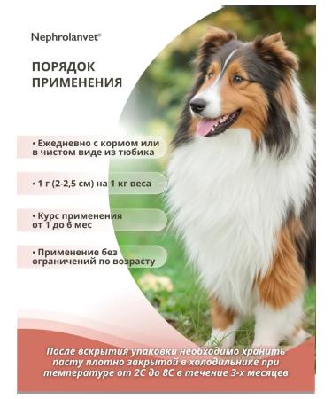 NEFROLANVET Paste for kids of cats and dogs 75 g - Buy Online on GoSupps.com