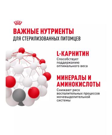 ROYAL CANIN Sterilized food for sterilized adult cats 2 kg - Buy Online on GoSupps.com