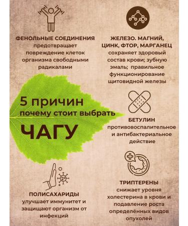 Emelyanovskaya Biofactory Birch chaga with rosemary 250 grams - Buy Online on GoSupps.com