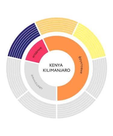 JARDIN Coffee soluble sublimated Kenya Kilimanjaro 2pc x 95g - Buy Online on GoSupps.com