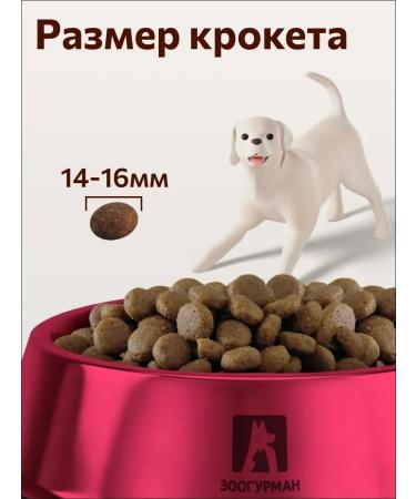Zoogourman Dry food for large dogs Big Dog Bird Mix 10kg - Buy Online on GoSupps.com