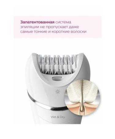 PHILIPS female epilator for bikini BRA 710 00 8000 Series - Buy Online on GoSupps.com