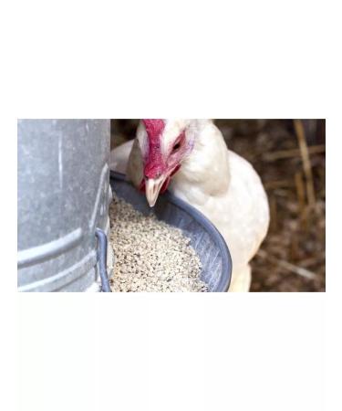 SMARTMEAL Former yeast for chickens birds and animals rabbits vitamins - Buy Online on GoSupps.com