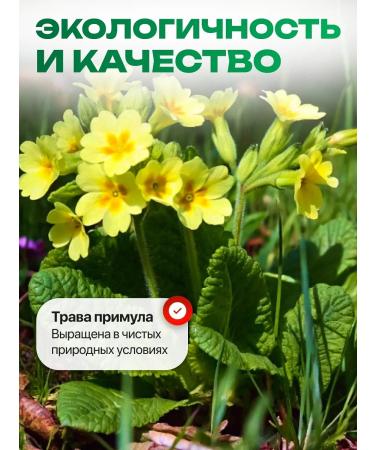 Honey and Jam Primary (primrose) grass collection from cough 50 grams - Buy Online on GoSupps.com