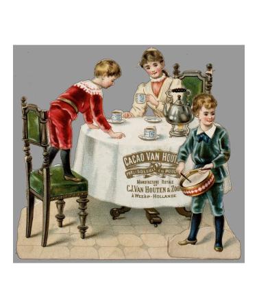 Van Houten Cocoa natural finest cacao 0.25 kg - Buy Online on GoSupps.com