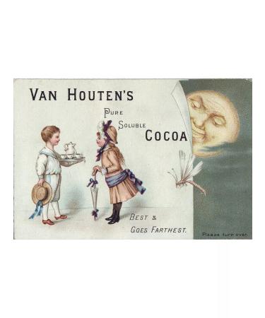 Van Houten Cocoa natural Finest Cacao 0.125kg - Buy Online on GoSupps.com