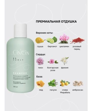 Cincin Curly hair shampoo - Buy Online on GoSupps.com