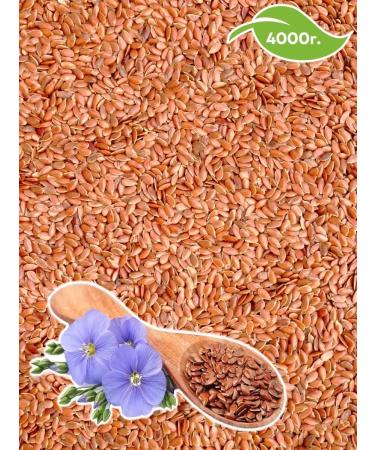 just great Food Food Food Food 4 kg - Buy Online on GoSupps.com