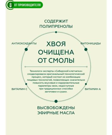 Siberian fiber Coniferous tea immunity 20 bags - Buy Online on GoSupps.com