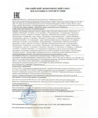 Siberian fiber Coniferous tea with mint 20 bags - Buy Online on GoSupps.com