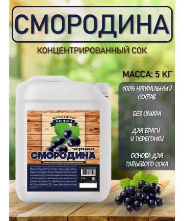 Fruit Barrel Concentrated juice currant "black currant" 5 kg