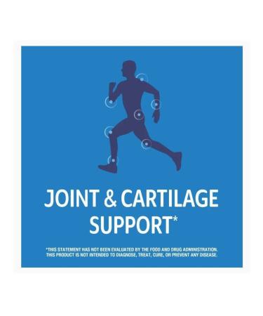 21st Century Vitamin D3 vitamin C zinc glucosamine MSM chondroitin - Buy Online on GoSupps.com