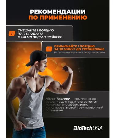 BioTechUSA NITROX Therapy 340 Persian - Buy Online on GoSupps.com