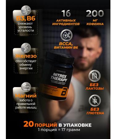BioTechUSA NITROX Therapy 340 Persian - Buy Online on GoSupps.com