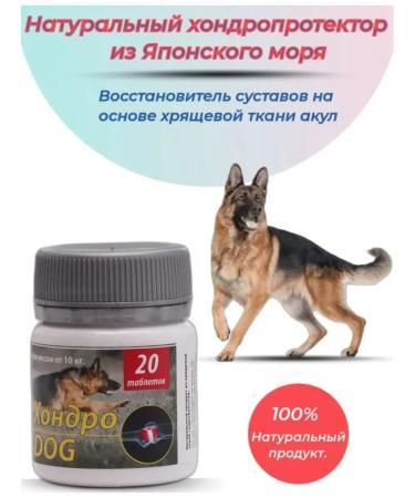 Silver Trail Chondroprotector chondro dog 10+ (from 10 kg.) 20 tons