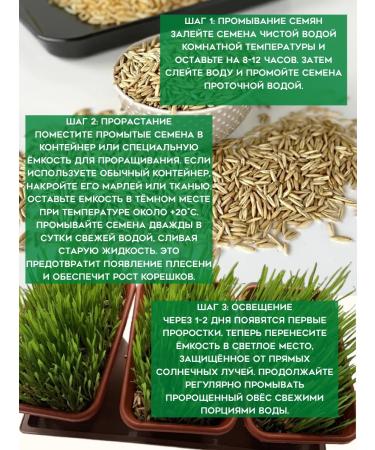 Greennation Oats Oats for brewing and germination 1.3kg - Buy Online on GoSupps.com