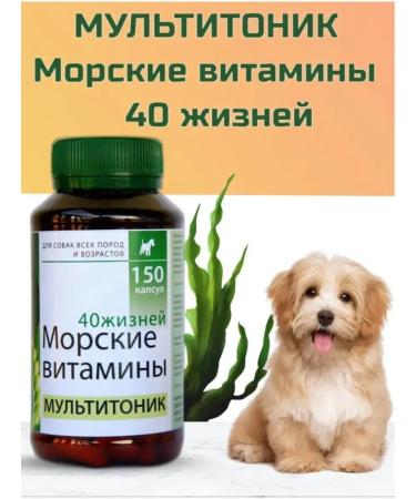 Silver Trail Multitonik "40 lives" 150 capsules