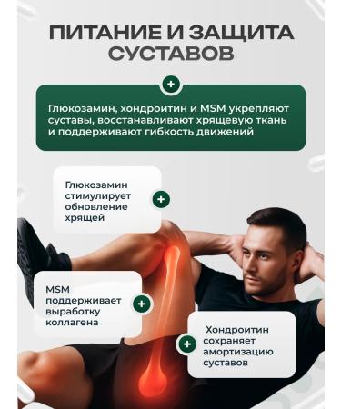 GST GreenSanTe Glucosamine chondroitin MSM (MSM) for joints - Buy Online on GoSupps.com