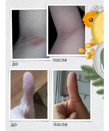 Hungry Leshy Multifunctional cream forest set 2 pcs - Buy Online on GoSupps.com