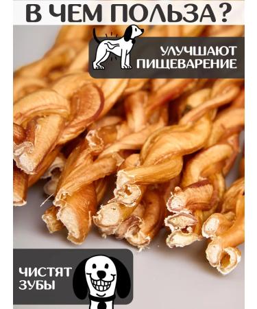 FOR RODENT DOG Dog treats bull -calf root 30 cm 100 g - Buy Online on GoSupps.com