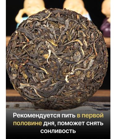 Dragon Garden Chinese tea Shen Puer Highland 100g 2020 - Buy Online on GoSupps.com