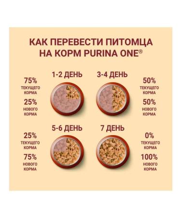 PURINA ONE Wet feed for small breeds with turkey 85 g x 26 pcs - Buy Online on GoSupps.com