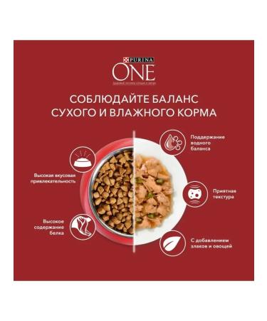 PURINA ONE Wet feed for small breeds with turkey 85 g x 26 pcs - Buy Online on GoSupps.com