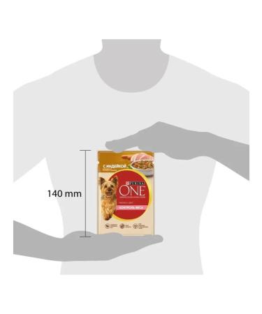 PURINA ONE Wet feed for small breeds with turkey 85 g x 26 pcs - Buy Online on GoSupps.com