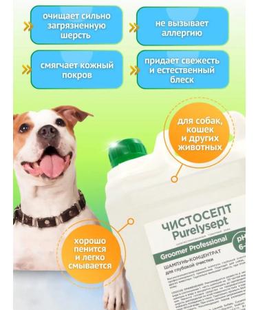 Purelysept Contract shampoo for dogs 5l - Buy Online on GoSupps.com