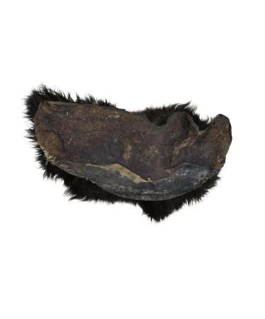 Organix Premium treats for dogs "lip of beef" - Buy Online on GoSupps.com