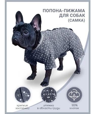 MOORLAND Popon postoperative for dogs female