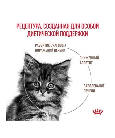 ROYAL CANIN Kitteen food for digestive disorders 2kg - Buy Online on GoSupps.com