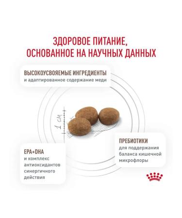 ROYAL CANIN Kitteen food for digestive disorders 2kg - Buy Online on GoSupps.com