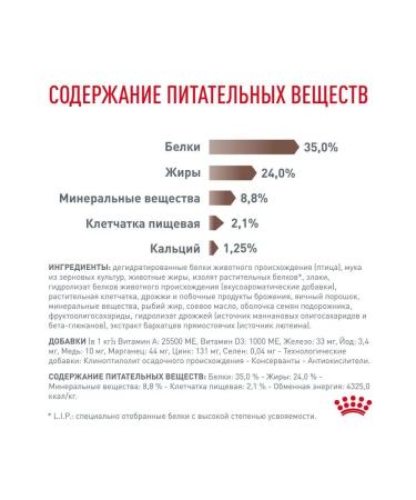 ROYAL CANIN Kitteen food for digestive disorders 2kg - Buy Online on GoSupps.com