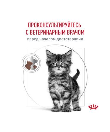 ROYAL CANIN Kitteen food for digestive disorders 2kg - Buy Online on GoSupps.com