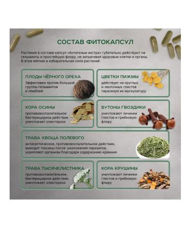 LLC ARTEMISIA/LLC VITACHAI Antigelm from helminths of helminths 60 capsules - Buy Online on GoSupps.com