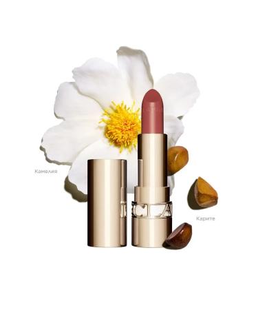 Clarins Lipstick with the satin effect of Joli Rouge - Buy Online on GoSupps.com