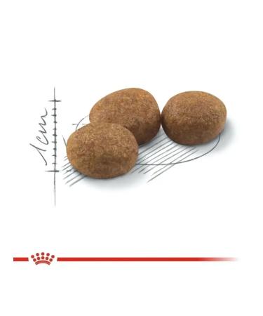 ROYAL CANIN Dry food for sterilized cats 10 kg - Buy Online on GoSupps.com