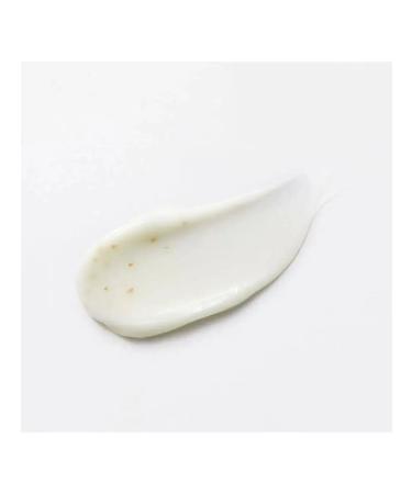 CHOGONGJIN Geumsul Jin Emulsion Anti -aging Emulsion for Facial 120ml - Buy Online on GoSupps.com