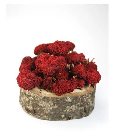 GrowUp Pomegranate (grenade launcher) 50 g - dried flowers herbal tea - Buy Online on GoSupps.com