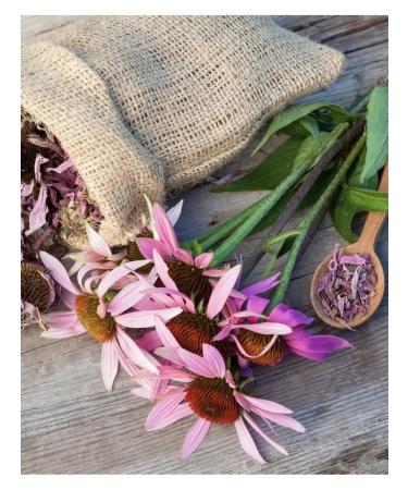 Tree of Love Echinacea - Buy Online on GoSupps.com