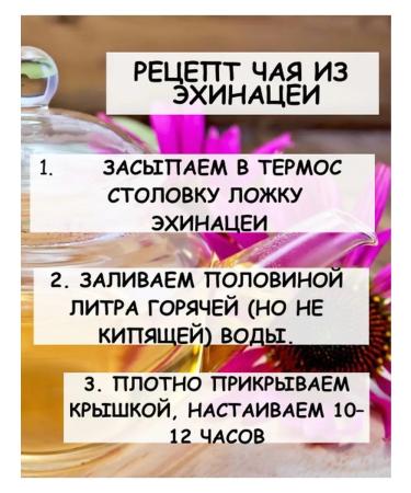 Tree of Love Echinacea - Buy Online on GoSupps.com