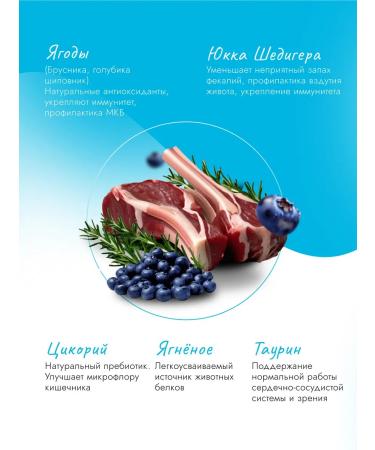 Best dinner Cat food for dry lambs of blue 0.4 kg - Buy Online on GoSupps.com