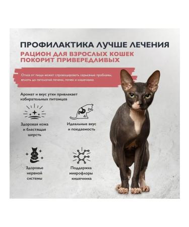 Brit Dry food with turkey and duck for adult cats 2x400g - Buy Online on GoSupps.com