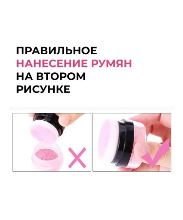 Sponge blossom with sponge - Buy Online on GoSupps.com