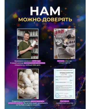 Zverev Mushroom Empire Micelley Reishi Tvikovik varnished 500g - Buy Online on GoSupps.com