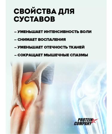 PROTEINCOMPANY Glucosamine chondroitin MSM - Buy Online on GoSupps.com